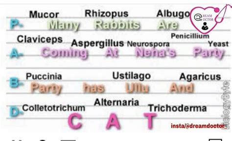 Trick to learn example of fungi - NEET PDF Download