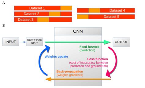 Image result for How to Train Using Image Dataset From Directory