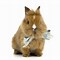 Image result for Baby Rabbit Art