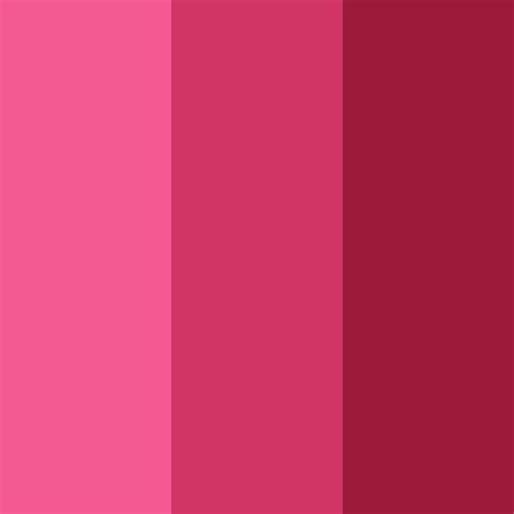 Raspberry Delight Color Palette - ColorDrop