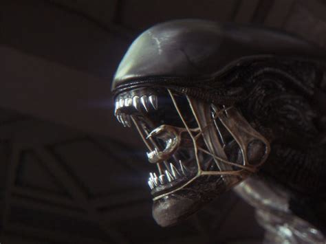 Alien Isolation Xenomorph 的图像结果