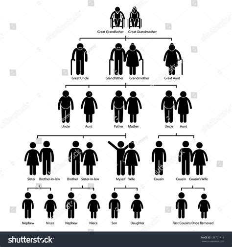 440 Family tree diagram Images, Stock Photos & Vectors | Shutterstock