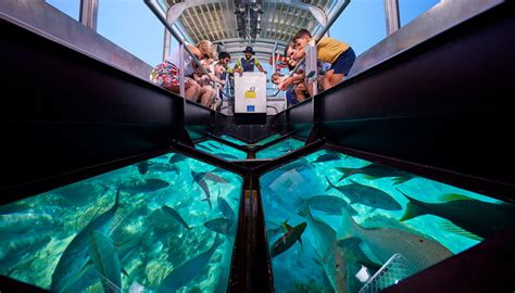 Glass bottom tour