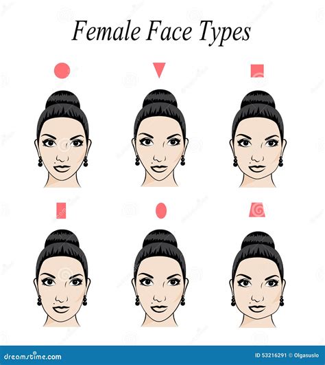 Face shape stock vector. Illustration of ellipse, females - 53216291