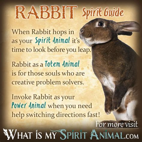Rabbit Symbol Spiritual Meaning at Dakota Katherine blog