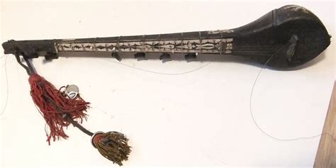 Image result for Obscure Stringed Instruments