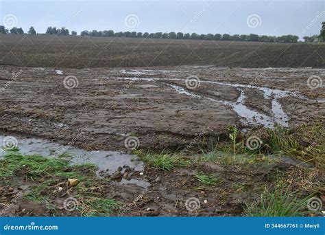 Soil Erosion of Field with Water Landscape Stock Image - Image of ...