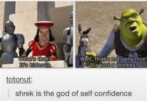 Image result for Shrek Script Memes