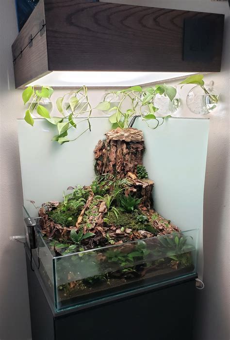 I finished my wifes birthday present. I cant show her for 2 more weeks ...