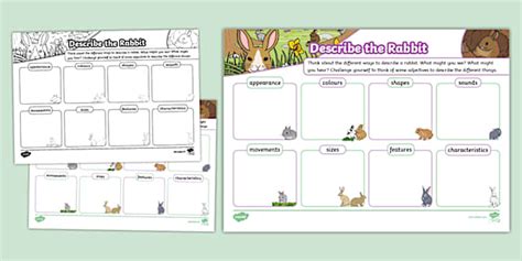 Rabbit Adjectives Worksheet