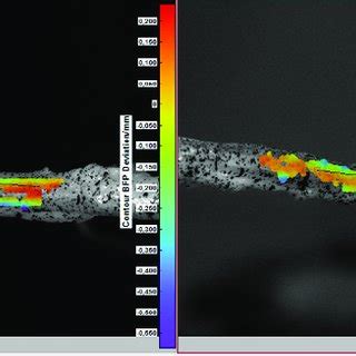 Image result for Multi-Displacement System Explained