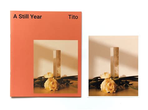 A STILL YEAR by Tito – Offset Bookshop