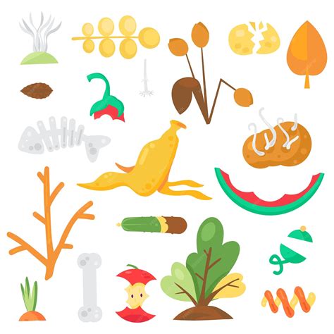 Food Waste Animation 的图像结果