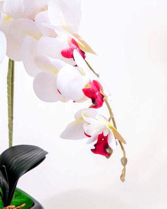 Buy Online Artificial Plants for Home Decor, Artificial Flower for Home ...