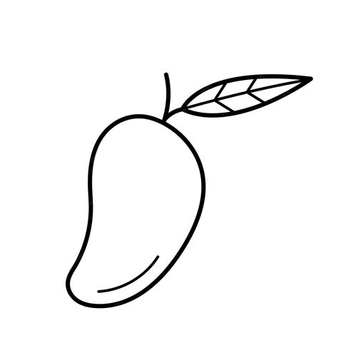 Sketch Of Mango