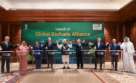 The Global Biofuel Alliance: a Sustained Future?