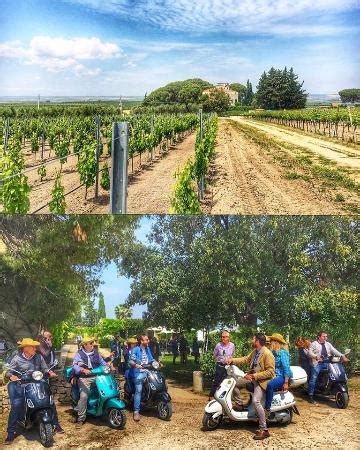 Way To Move - La Puglia in Vespa (Monopoli) - 2022 What to Know Before ...