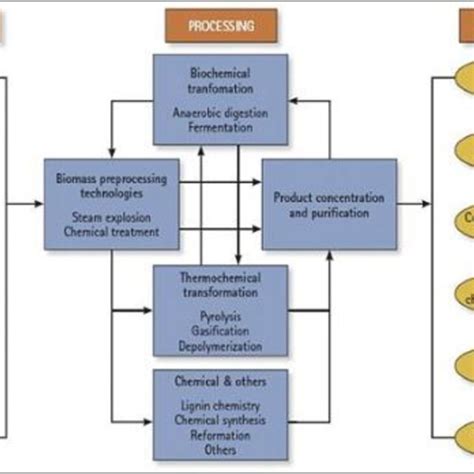 Bioenergy Production Process 的图像结果