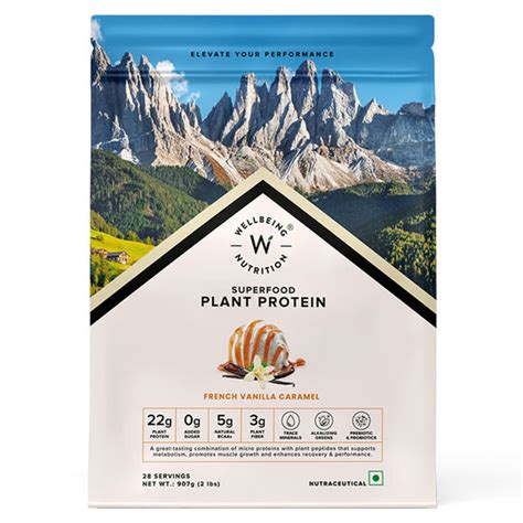 Buy Plant Based Protein Powder Online in India - Wellbeing Nutrition