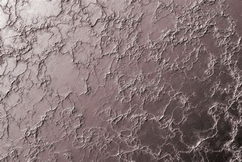 Alien Pattern Texture 的图像结果