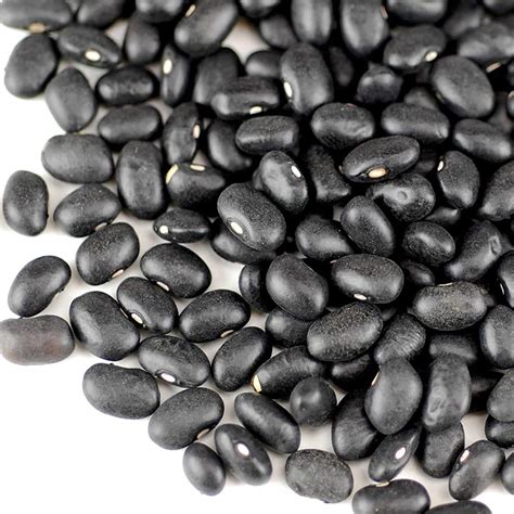 Organic Black Turtle Beans -5 Lb- Called Black Bean & Spanish Black ...