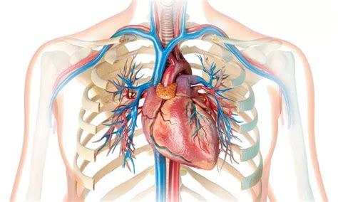 Sacubitril/Valsartan Safe to Continue Even with GFR Below 30 ml/min in ...