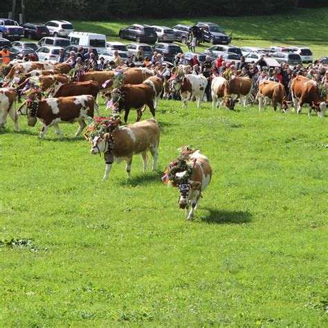 IM RAMSEN (St. Wolfgang) - Farmhouse Reviews, Photos, Rate Comparison ...