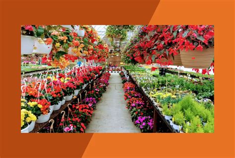 Farm Locate Market 的图像结果