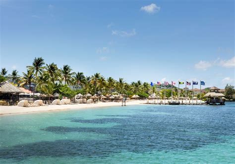 Flag Of St. Lucia Explained: History & Symbolism - ResortHatch