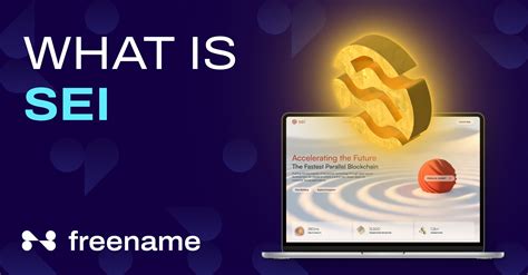 What is SEI Network and How it Works