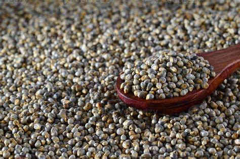 close up of Pearl Millet, Bajra with wooden spoon. 2859495 Stock Photo ...