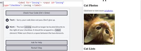 Image result for Step 56 Freecodecamp HTML