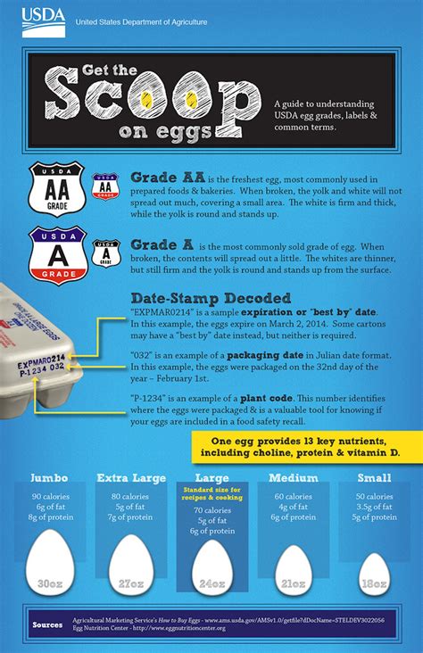 Egg Expiration Dates Are Not Regulated The Way You Might Have Thought ...