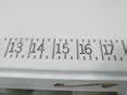 Buy Fish Ruler Measuring Sticker - Transparent Tape Measure Adhesive ...