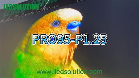 Image result for Pro-95 Programming