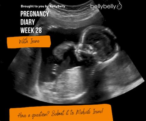 28 Weeks Fetus Ultrasound