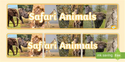 Safari Animals Photo Display Banner - Animals - Twinkl