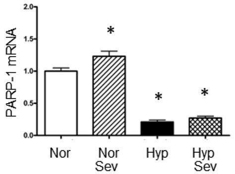 Sevoflurane Preconditioning Rescues PKMζ Gene Expression from Broad ...
