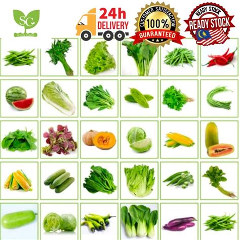 50 Kinds Vegetable Seeds / 50 Jenis Biji Benih Sayuran / 50种蔬菜种子/NON ...