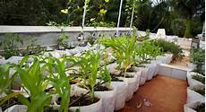 Rooftop Gardening Containers by Rooftop Garden Container 01 Auroville Collaborative Rooftop Gardening Containers