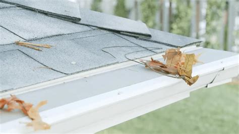 Image result for Colorbond Gutter Installation