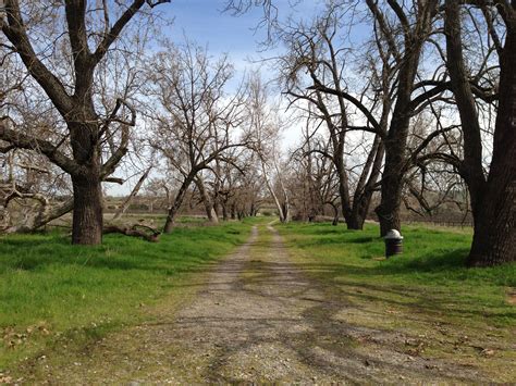 Sycamore Grove Park in Livermore