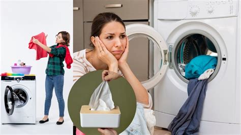 Washing 的图像结果