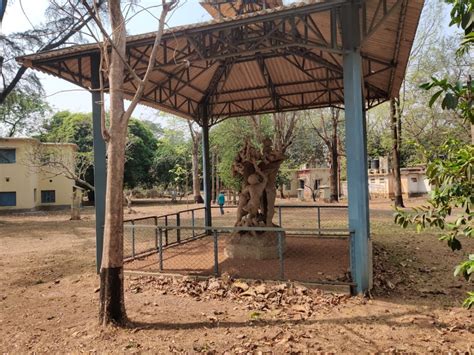 In Birbhum, TMC's Muscle Power Has Become a Weakness as Voters Look for ...