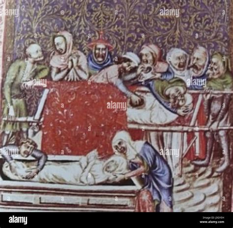 'Funus' refers to a Latin term meaning funeral or burial, commonly used ...