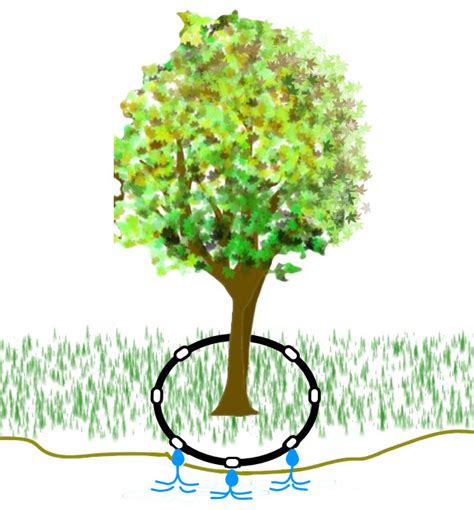 Image result for Drip Irrigation Tree Ring