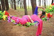 Hari priya Glam PIcs in Saree