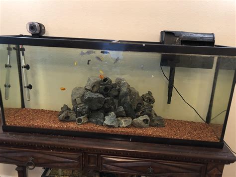 [FS] Austin Tx. 70 gallon aquarium. Will throw in the cichlid rocks if ...