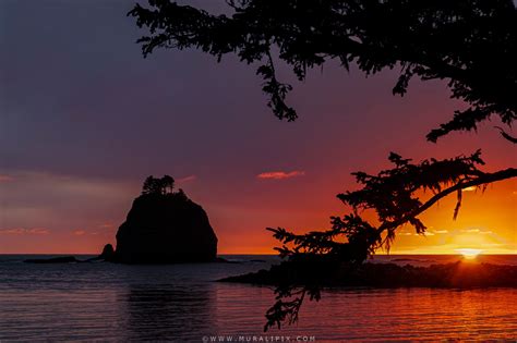 La Push First Beach, USA