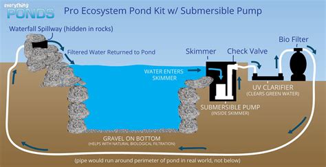Using Pool Pump for Pond Pump 的图像结果